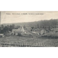 Vienne-le-Château - Bois de la Gruerie